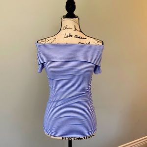 A Pea in the Pod Maternity Blue and White Striped Top